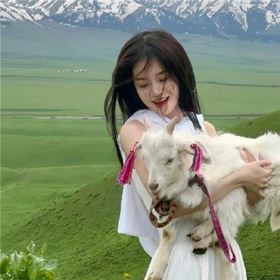 龙的新娘:龙之岛